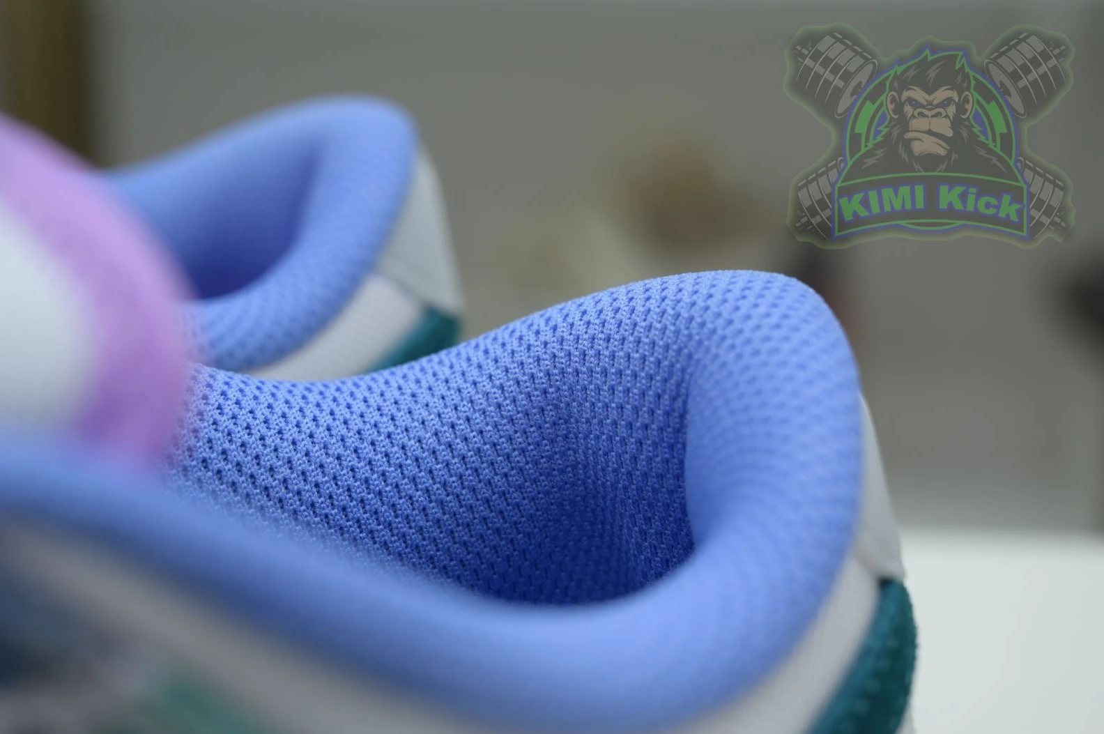 Kimikick Futura Laboratories x Nike Dunk SB StreetReady 3397