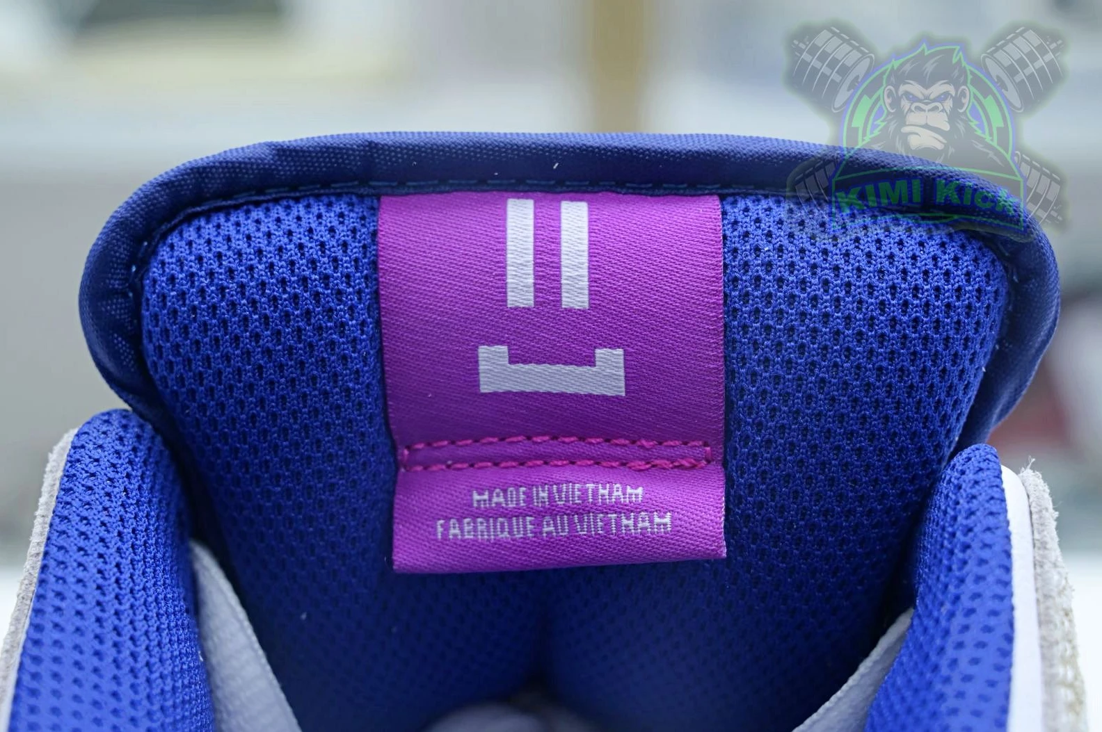 Kimikick Rayssa Leal x Nike SB Dunk Low AllSeason 3431