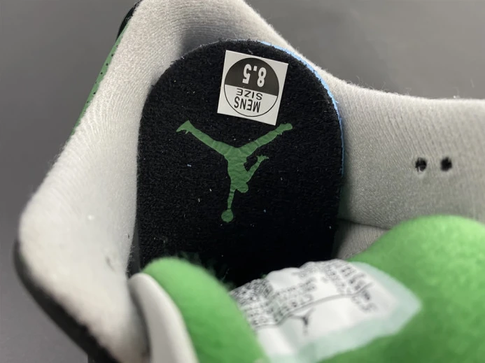 NewStyle Air Jordan 3 Pine Green CT8532- 950