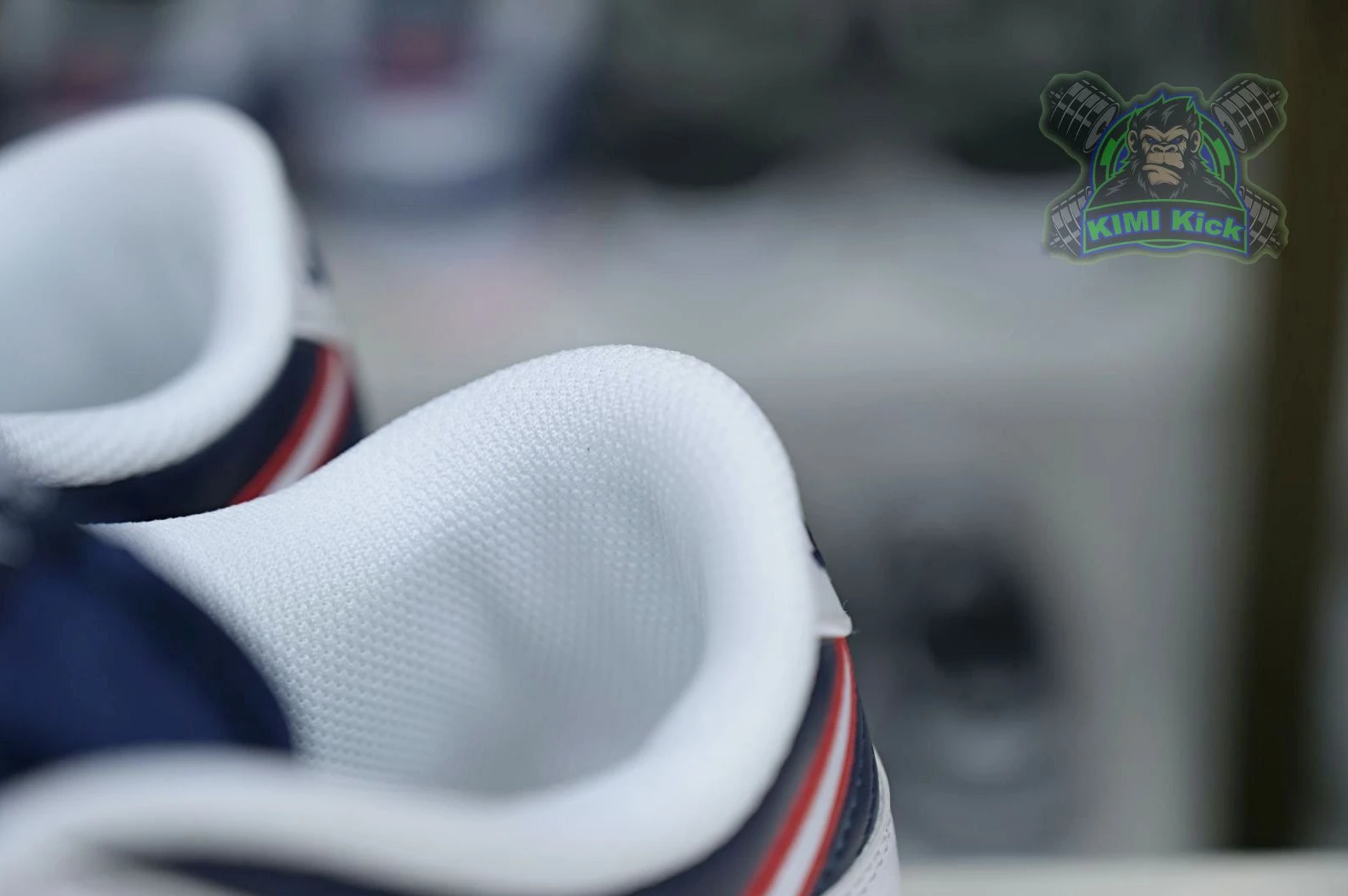 NewStyle Kimikick Nike Dunk Low 'Houston Comets Four-Peat' 3433