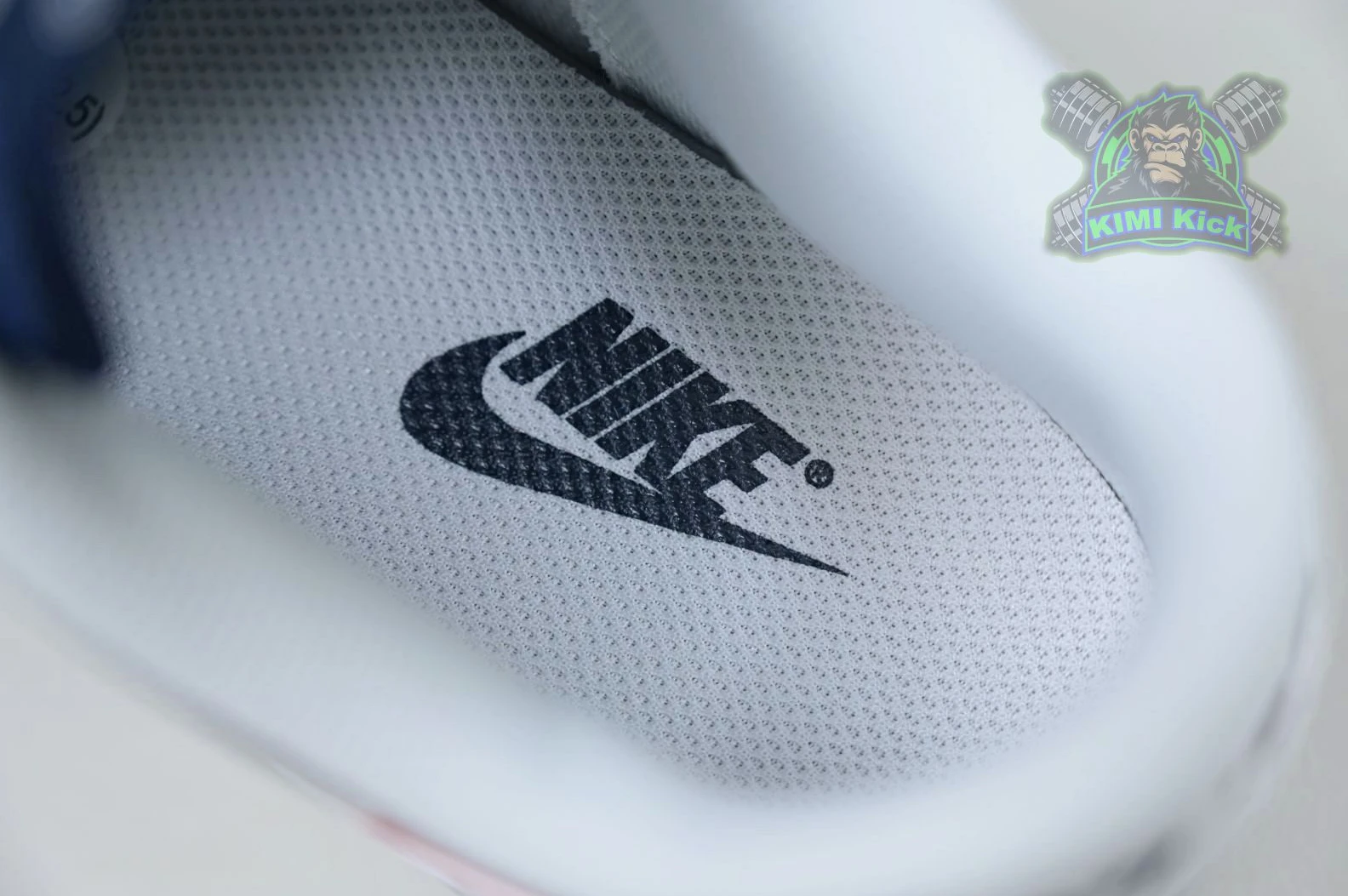 NewStyle Kimikick Nike Dunk Low 'Houston Comets Four-Peat' 3433