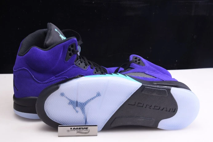 SmartChoice Air Jordan 5 Retro Alternate Grape 136027- 1078