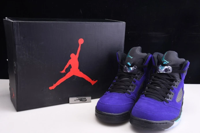 SmartChoice Air Jordan 5 Retro Alternate Grape 136027- 1078