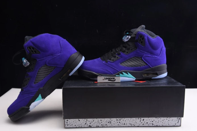 SmartChoice Air Jordan 5 Retro Alternate Grape 136027- 1078