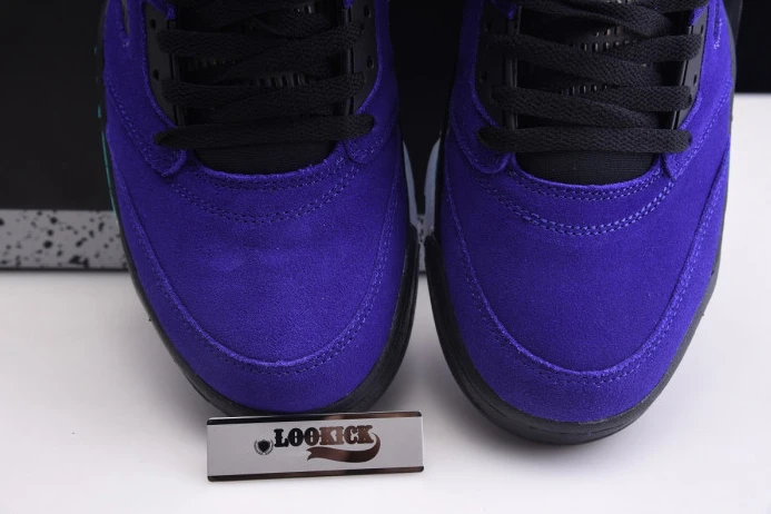 SmartChoice Air Jordan 5 Retro Alternate Grape 136027- 1078