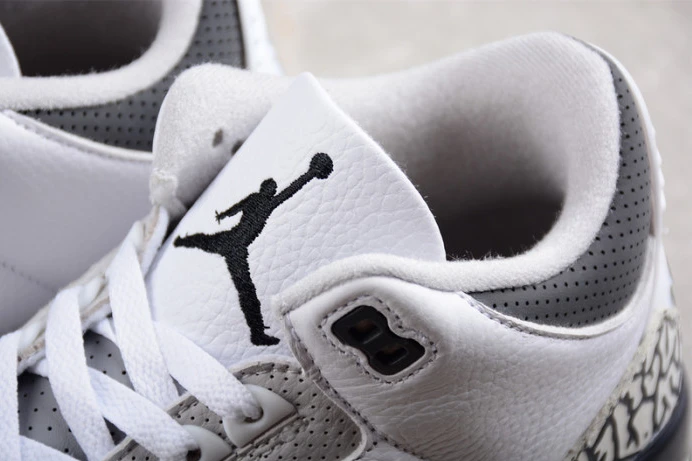 SmartChoice air jordan 3 retro hide n'' sneak dx6665- 1523
