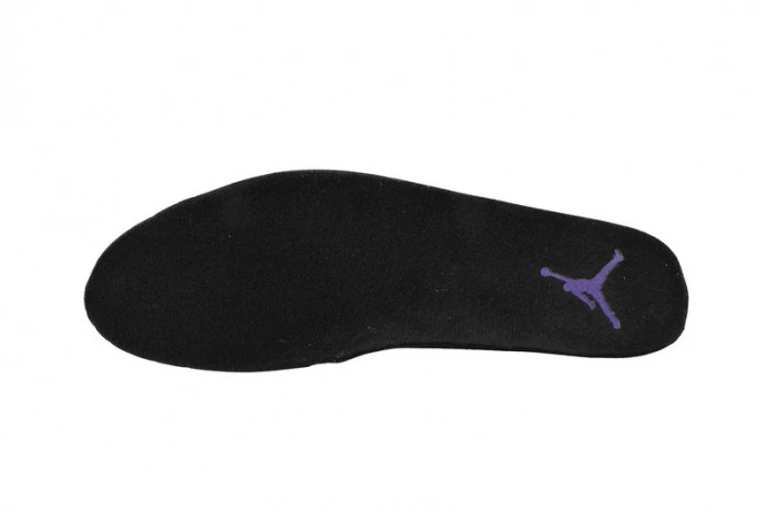 SportInspired Air Jordan 12 Retro Field Purple CT8013- 691