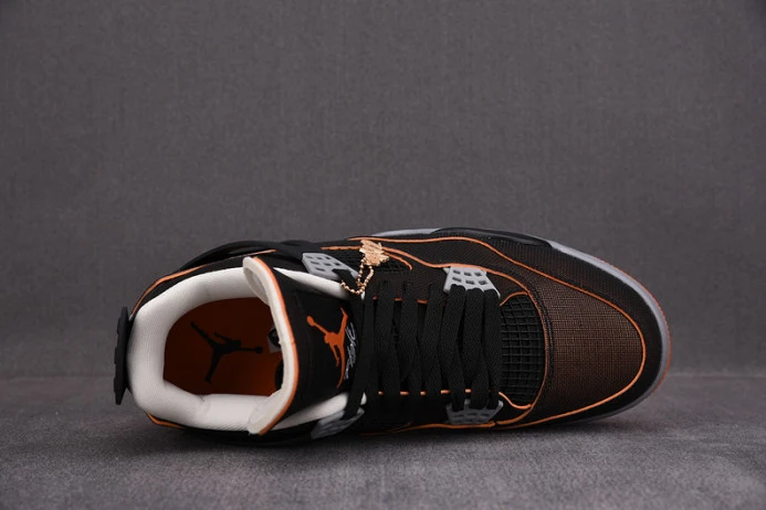 SportInspired air jordan 4 wmns starfish cw7183- 1707