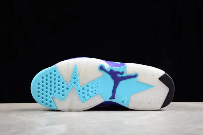 SportInspired air jordan 6 “aqua” ct8529- 1542