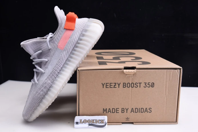 StreetReady Adidas Yeezy Boost 350 V2 Tail Light FX 434