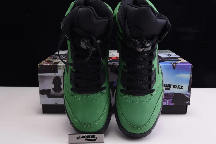 StreetReady Air Jordan 5 SE Oregon Ducks CK6631- 1085