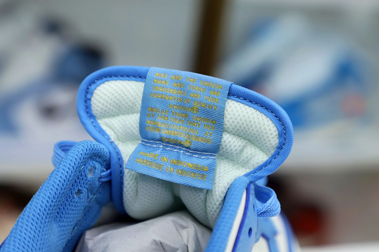 StreetReady Kimikick DUNK SB LOW COAST 3510