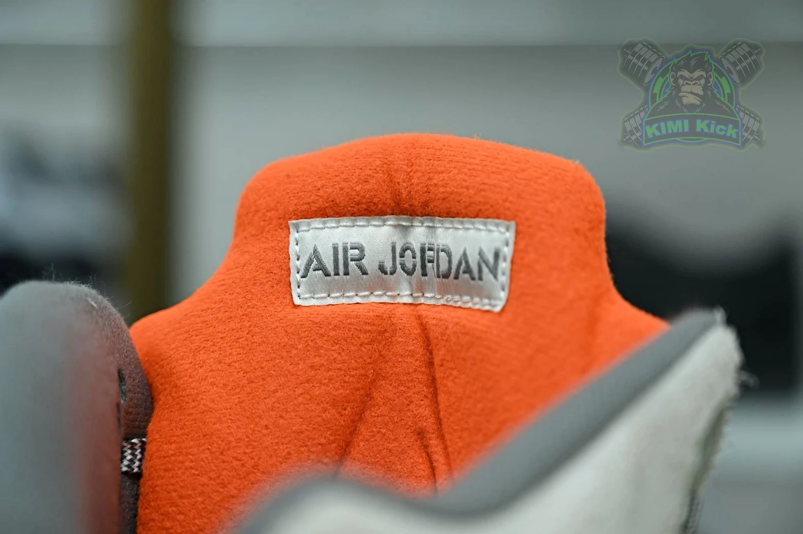 StreetReady Kimikick Jordan Air Jordan5 SE 1890