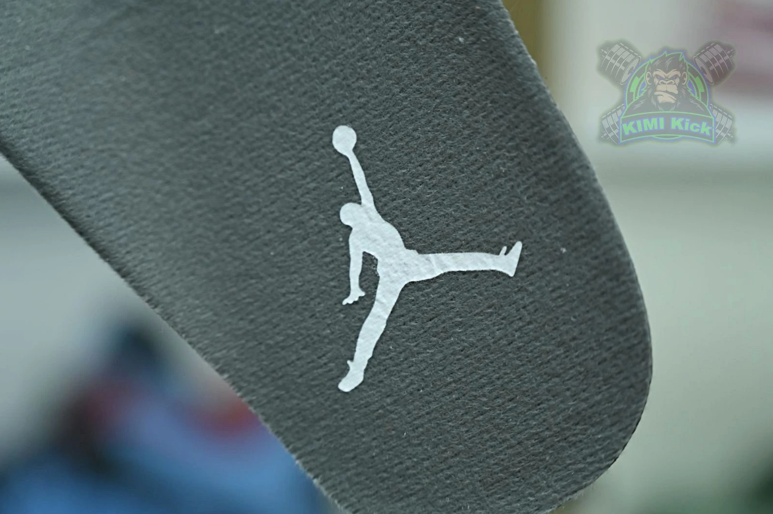 StreetReady Kimikick Jordan Air Jordan5 SE 1890