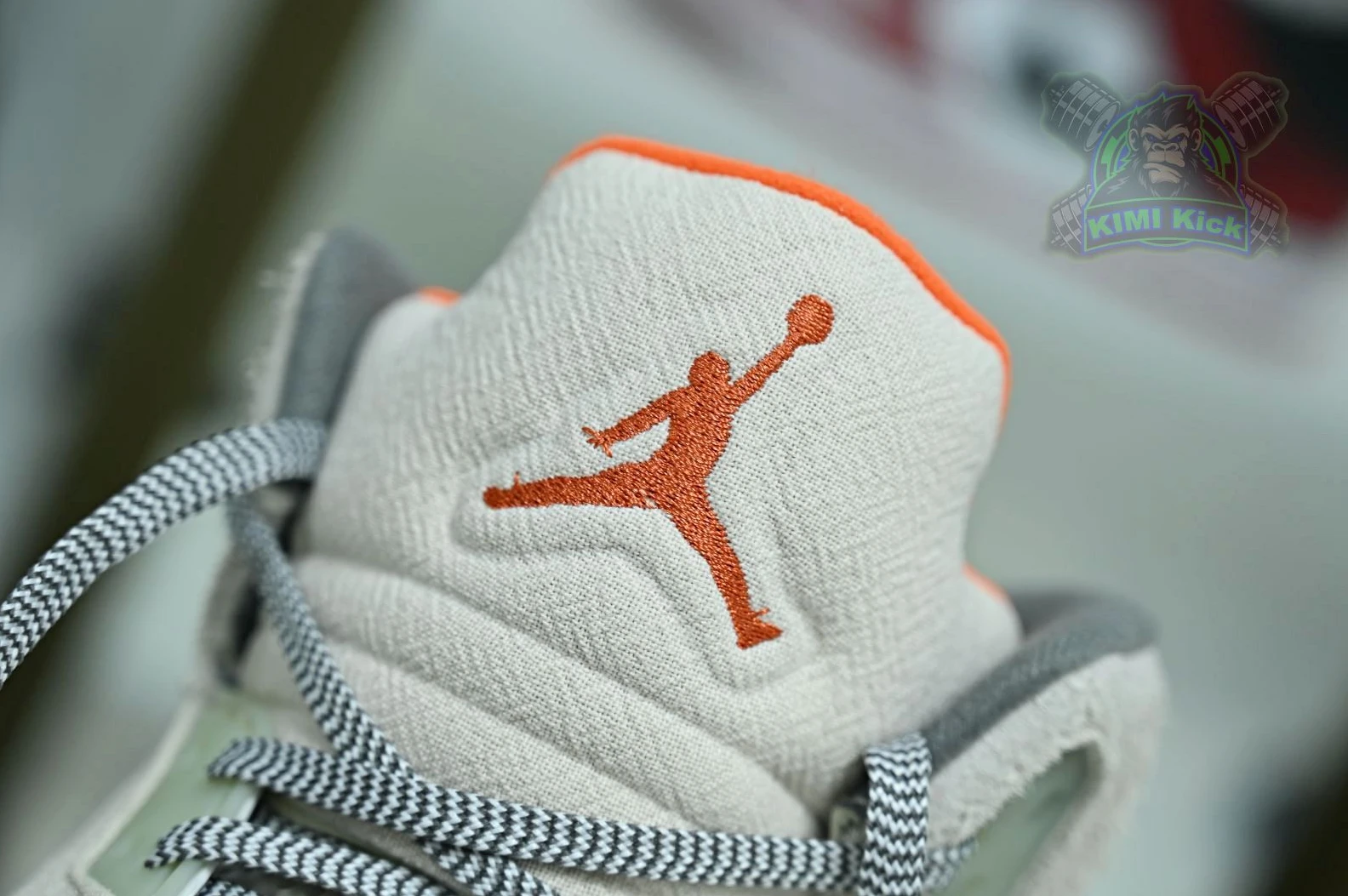 StreetReady Kimikick Jordan Air Jordan5 SE 1890