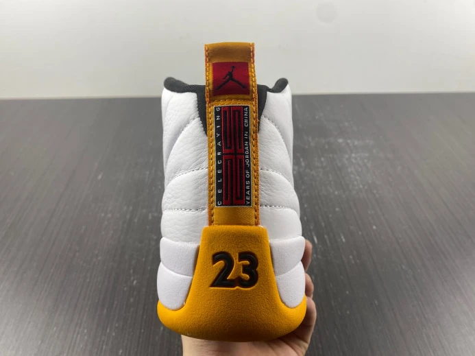 TopPick Air Jordan 12 25 Years in China DR8887- 657
