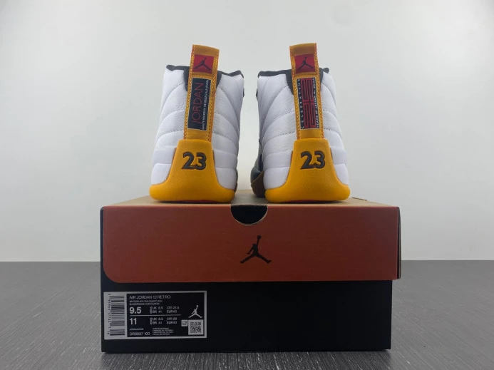 TopPick Air Jordan 12 25 Years in China DR8887- 657