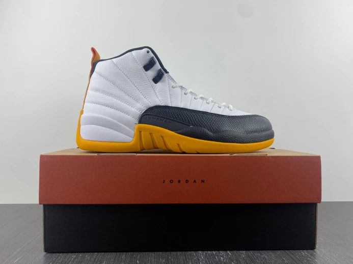 TopPick Air Jordan 12 25 Years in China DR8887- 657