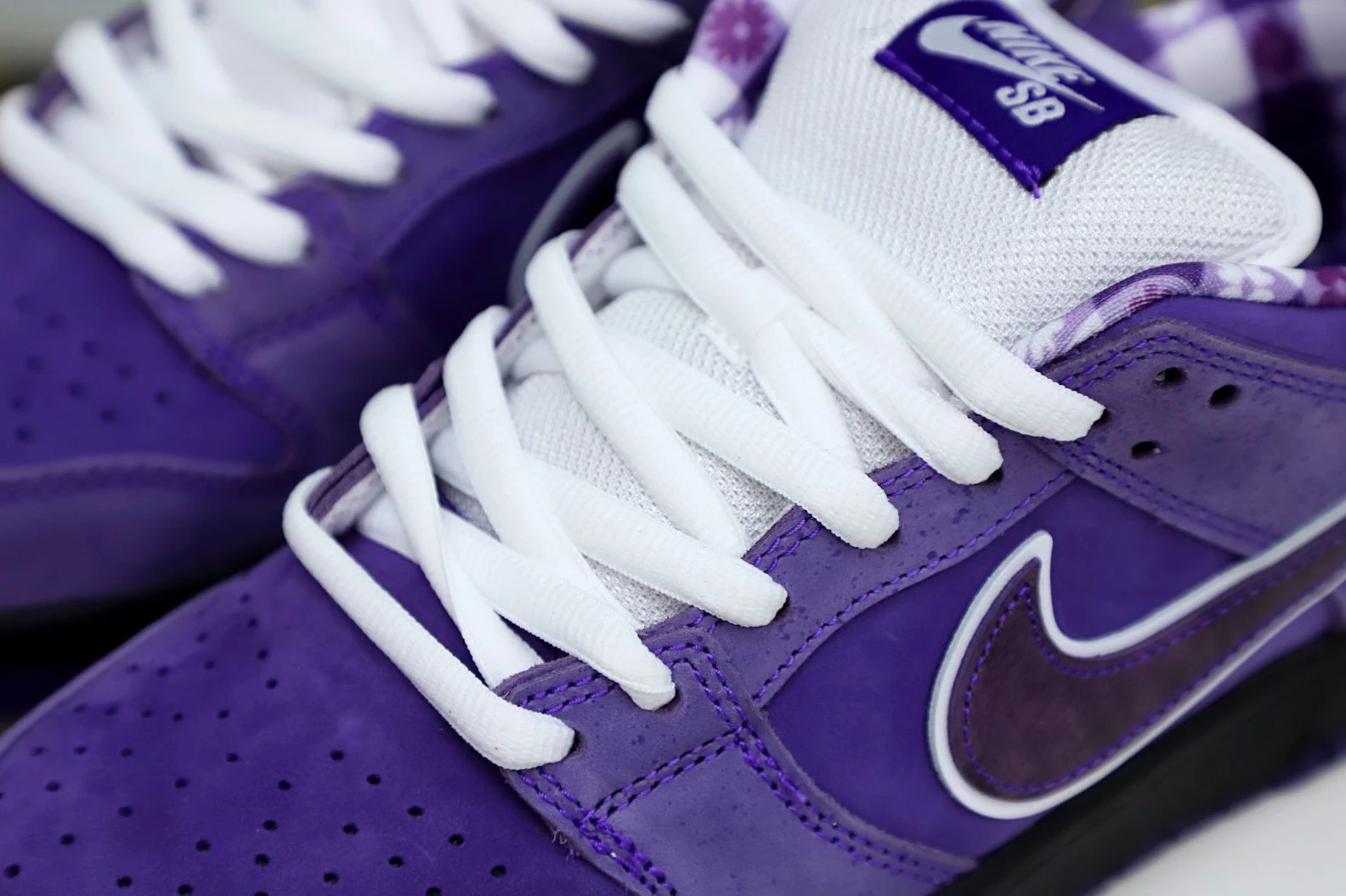 TopPick Kimikick Concepts x Nike SB Dunk Low Pro OG QS 3494