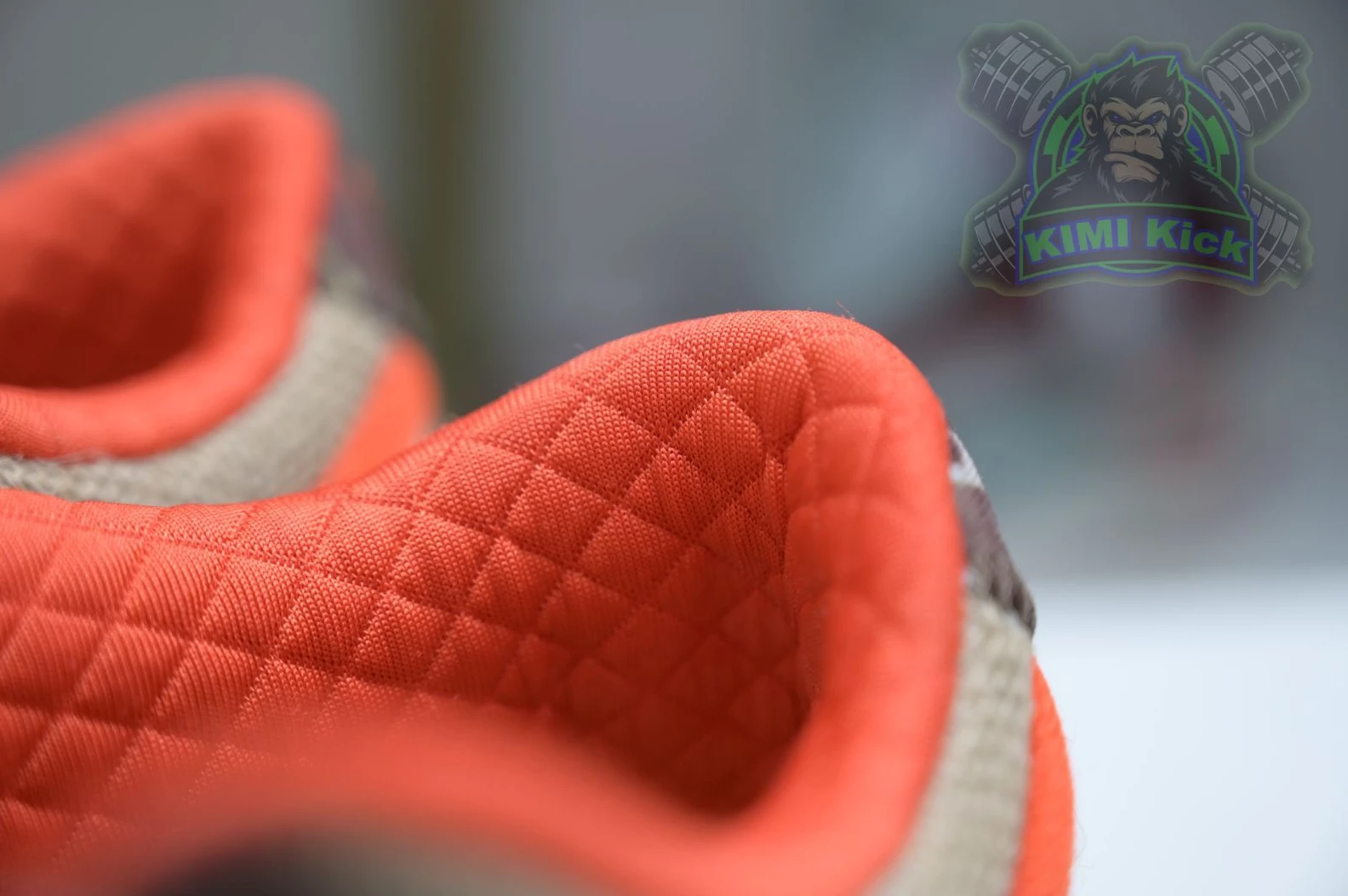 TopPick Kimikick Nike Dunk SB Low Reese Forbes 3424