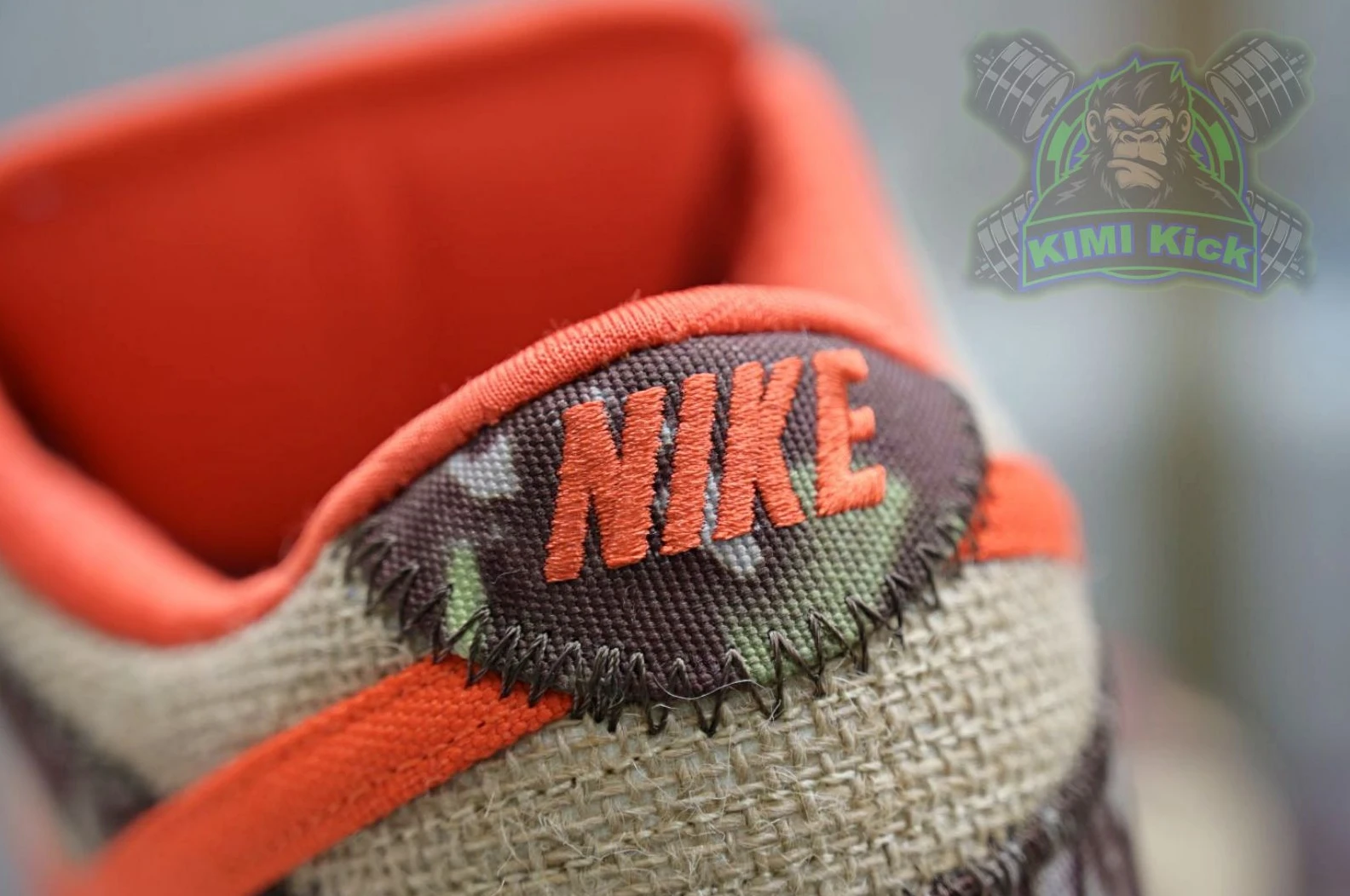 TopPick Kimikick Nike Dunk SB Low Reese Forbes 3424