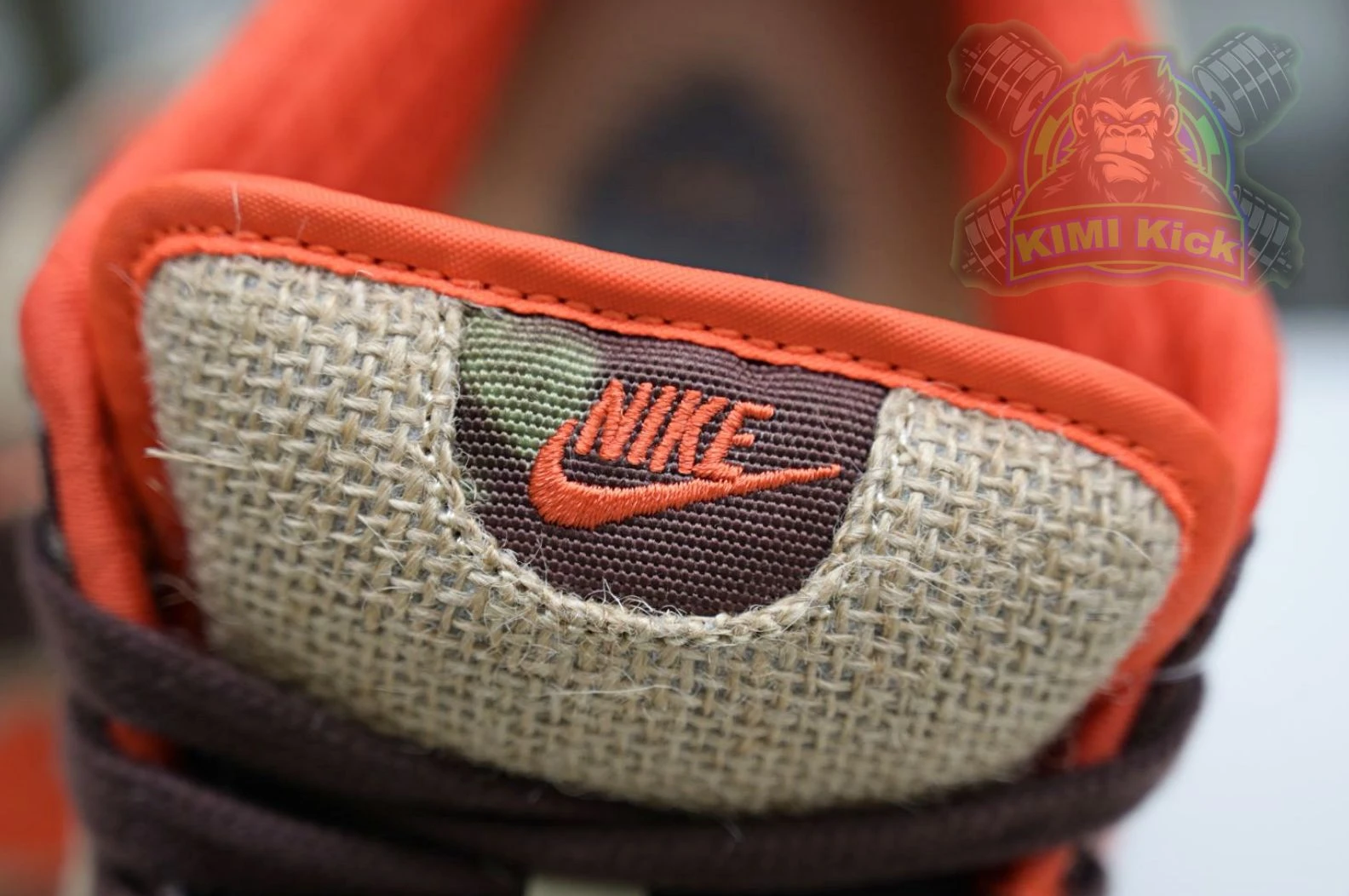 TopPick Kimikick Nike Dunk SB Low Reese Forbes 3424