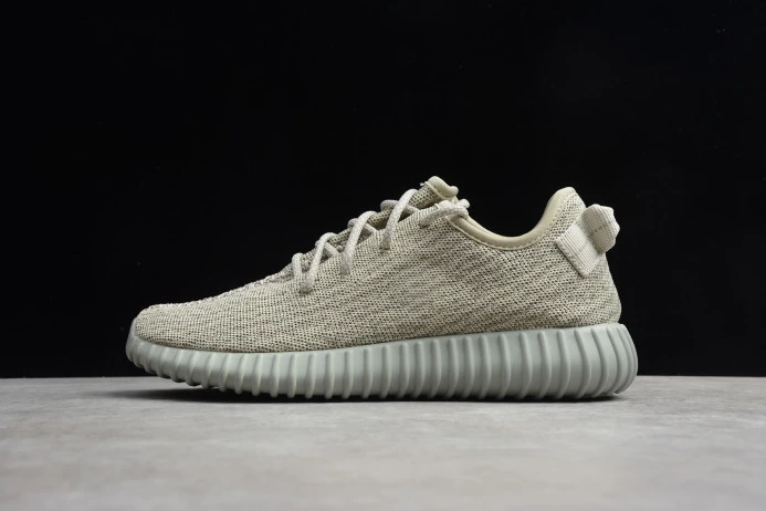 Trendy Adidas Yeezy Boost 350 Moonrock AQ 312