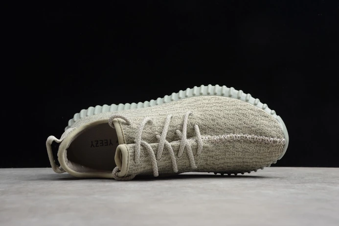Trendy Adidas Yeezy Boost 350 Moonrock AQ 312
