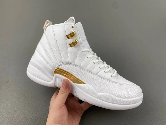 Trendy Air Jordan 12 WMNS Phantom FD9101- 654