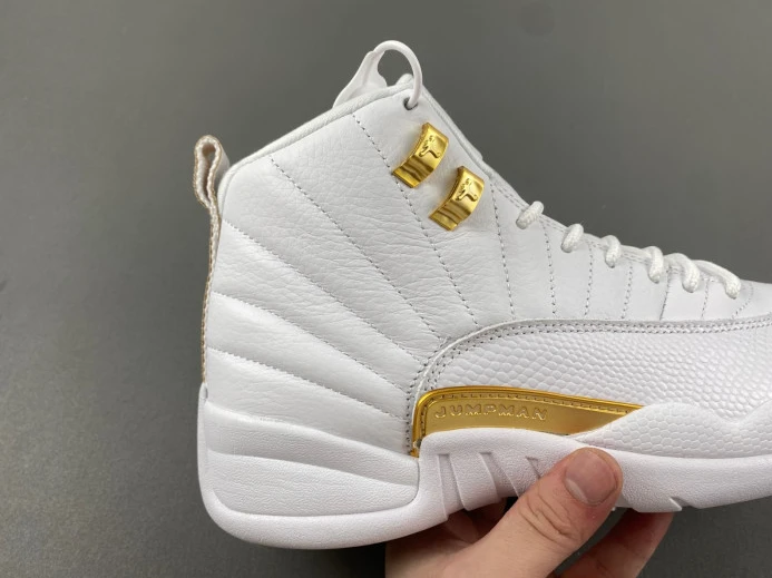 Trendy Air Jordan 12 WMNS Phantom FD9101- 654