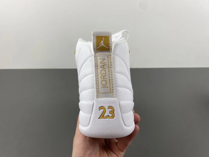 Trendy Air Jordan 12 WMNS Phantom FD9101- 654