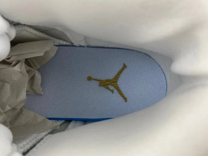 Trendy Air Jordan 12 WMNS Phantom FD9101- 654
