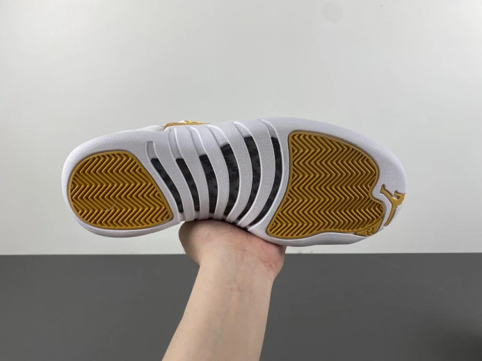 Trendy Air Jordan 12 WMNS Phantom FD9101- 654