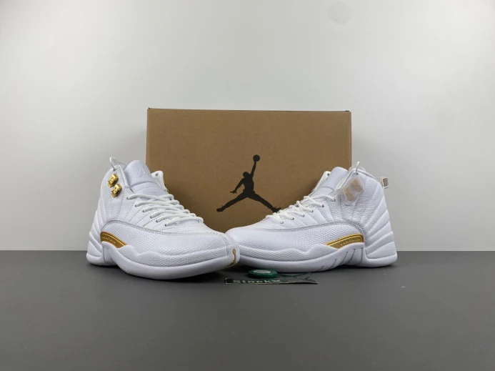 Trendy Air Jordan 12 WMNS Phantom FD9101- 654