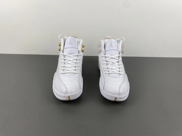 Trendy Air Jordan 12 WMNS Phantom FD9101- 654