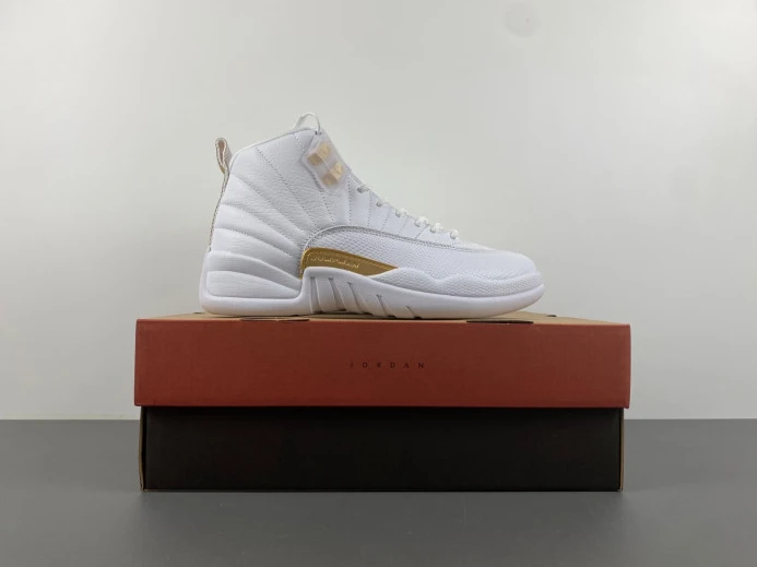Trendy Air Jordan 12 WMNS Phantom FD9101- 654