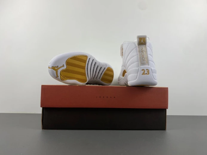 Trendy Air Jordan 12 WMNS Phantom FD9101- 654