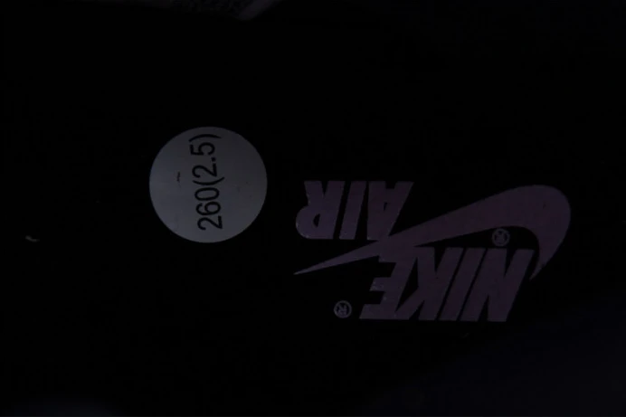Trendy air jordan 1 high og “skyline” dx0054- 1631