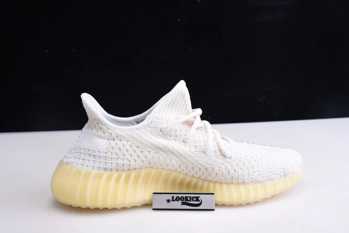 WellDesigned ADIDAS YEEZY BOOST 350 V2 ABEZ REFLECTIVE FZ 452