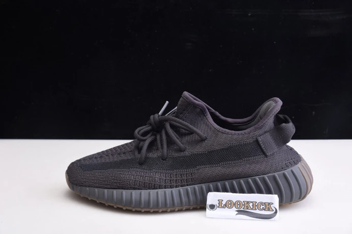 WellDesigned Adidas Yeezy Boost 350 V2 "Cinder" FY 447