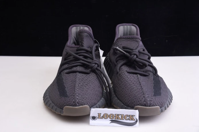 WellDesigned Adidas Yeezy Boost 350 V2 "Cinder" FY 447