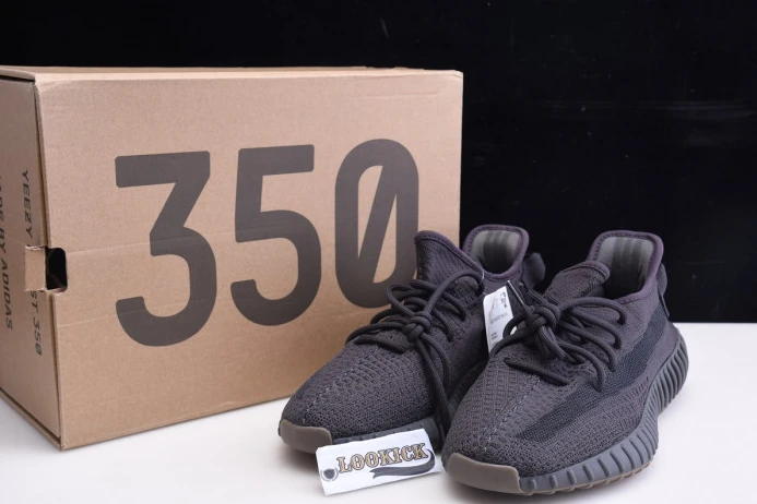 WellDesigned Adidas Yeezy Boost 350 V2 "Cinder" FY 447