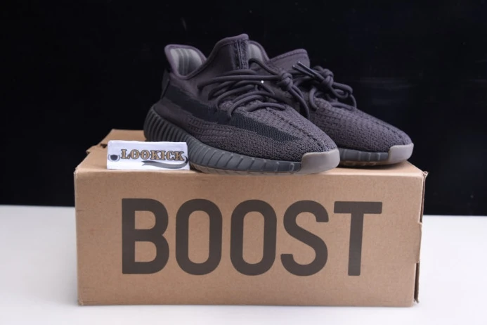 WellDesigned Adidas Yeezy Boost 350 V2 "Cinder" FY 447