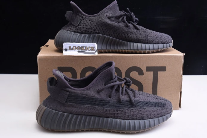WellDesigned Adidas Yeezy Boost 350 V2 "Cinder" FY 447