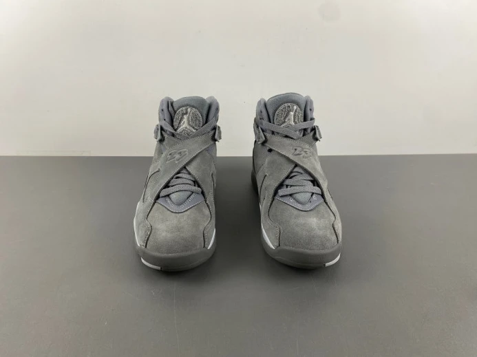 WellDesigned Jordan 8 Retro Cool Grey 305381- 623