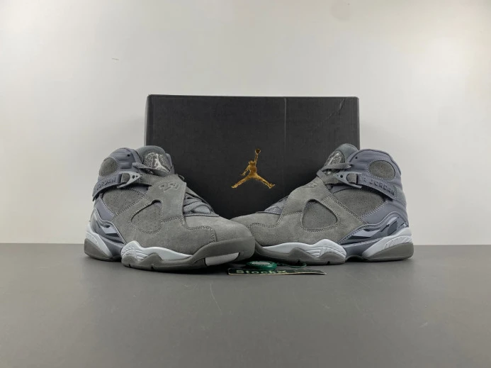 WellDesigned Jordan 8 Retro Cool Grey 305381- 623