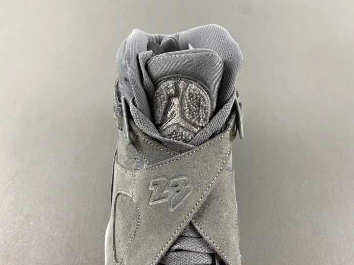 WellDesigned Jordan 8 Retro Cool Grey 305381- 623