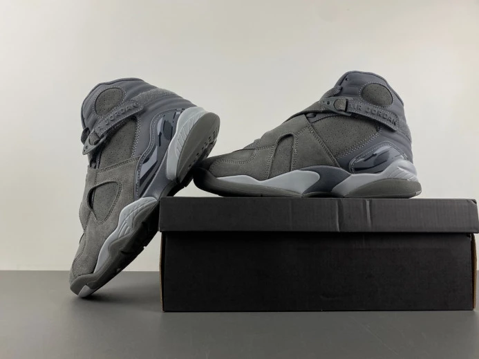 WellDesigned Jordan 8 Retro Cool Grey 305381- 623