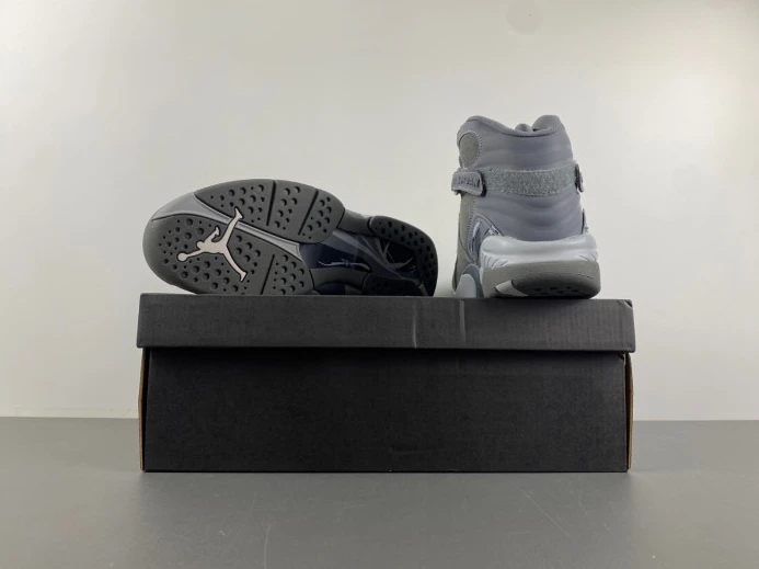 WellDesigned Jordan 8 Retro Cool Grey 305381- 623