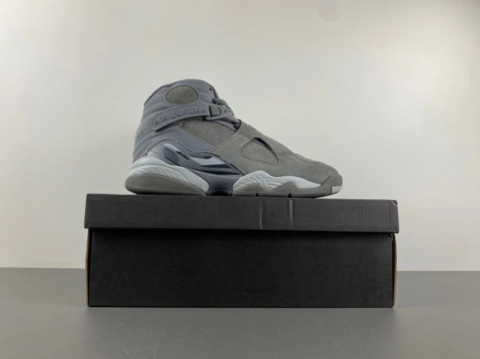 WellDesigned Jordan 8 Retro Cool Grey 305381- 623